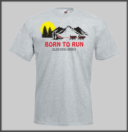 Sunset T Shirt